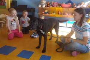 DOGOTERAPIA