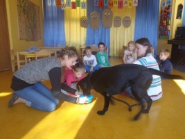 DOGOTERAPIA