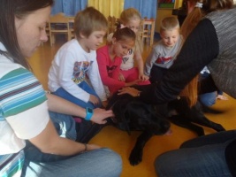 DOGOTERAPIA