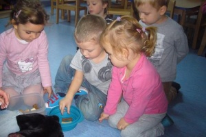 ŻABKI I PIESEK