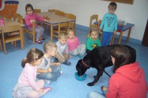 ŻABKI I PIESEK