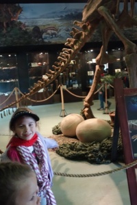 ODWIEDZINY U DINOZAURÓW