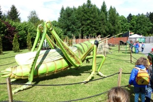 ODWIEDZINY U DINOZAURÓW
