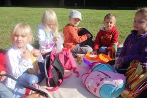 PIKNIK NA ZIELONEJ TRAWCE