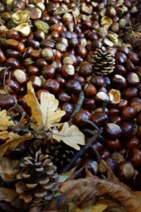 KASZTANKOBRANIE