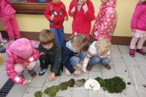 DARY JESIENI DLA KRASNALA