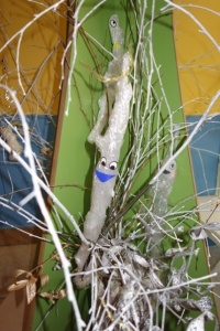 SOPELKOWE DRZEWO