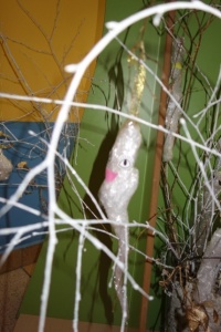 SOPELKOWE DRZEWO
